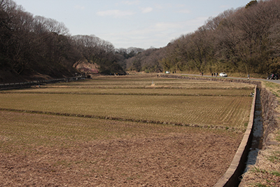 水車小屋付近から見た田んぼが広がる寺家ふるさと村の写真
