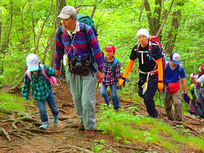 緑豊かな登山道を子どもたちと手をつないで歩いている写真