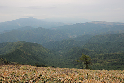 茶臼山から見た蓼科山と霧ヶ峰の写真