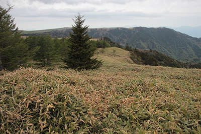 茶臼山から見た物見石山方面の写真