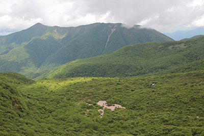 姥ヶ平と大倉山方面の写真
