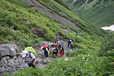 高山植物のたくさん咲く登山道を登っている写真