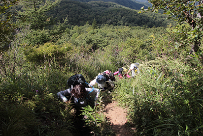 湯ノ沢峠から登山道を歩き始めた写真
