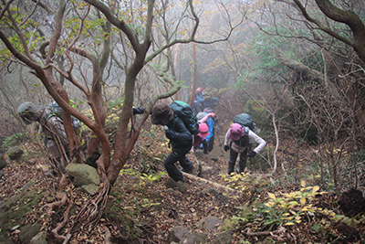 神山に向けて急坂を登っている写真