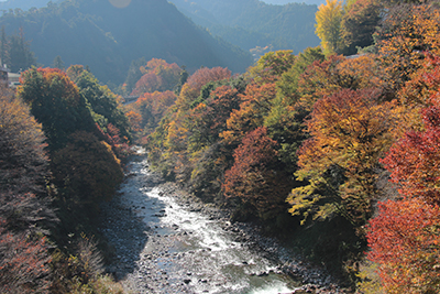 日原川下流の紅葉の写真