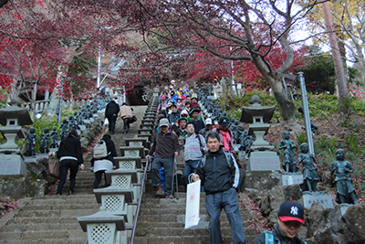 大山寺の紅葉した木々の下にある階段を下りている写真