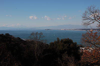 相模湾と富士山、丹沢の写真