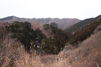 浅川への道から見た権現山と稜線の写真