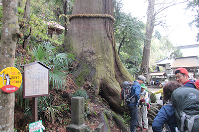 顕鏡寺の蛇木杉の前にいるメンバーの写真