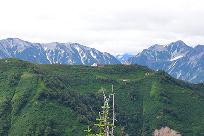 爺ヶ岳北峰付近から見た種池山荘と蓮華岳・針ノ木岳方面の写真