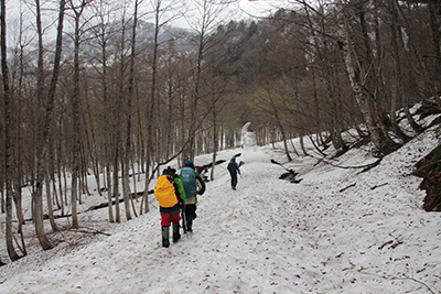 雪が深く積もった林道を歩いている写真