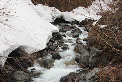 雪渓から流れ出てきた沢の写真