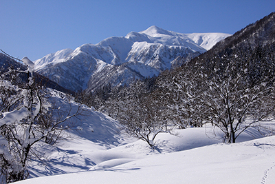 仙ノ倉山の写真