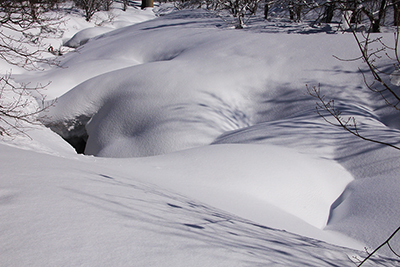 雪が積もった毛渡沢の写真
