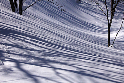雪面に縞を作った影の写真