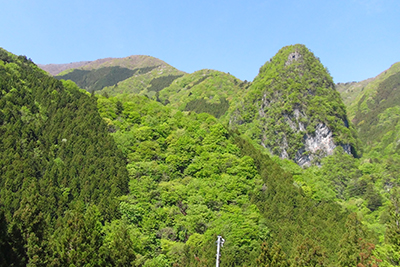 東日原バス停から見た稲村岩と稲村岩尾根の写真