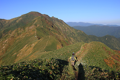 小障子の頭から万太郎山に向けて気持ちよい稜線を歩いている写真