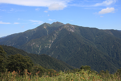天神平から見た白毛門、笠ヶ岳、朝日岳の写真