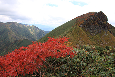 仙ノ倉山への登から振り返ったエビス大黒と真っ赤に紅葉したカエデの写真