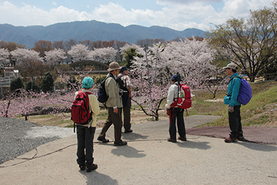 遠くに山が見えるところで、桜と桃を見ている写真
