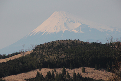 はっきり見える富士山の写真