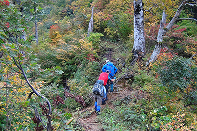 美しくなってきた紅葉の登山道を登っている写真