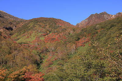 山麓駅から峠の茶屋方面の紅葉の写真