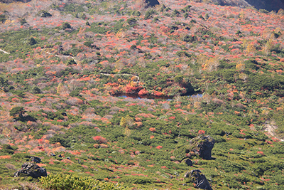 姥が平の瓢箪池と周囲の紅葉の写真