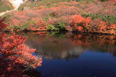 瓢箪池と周囲の紅葉の写真