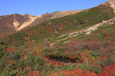 瓢箪池と茶臼岳山腹の紅葉、朝日岳方面の写真