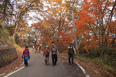 紅葉の美しい舗装道路を歩いている写真
