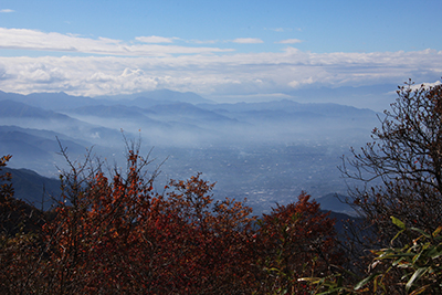 柳沢ノ頭から見た麓と富士山方面の写真