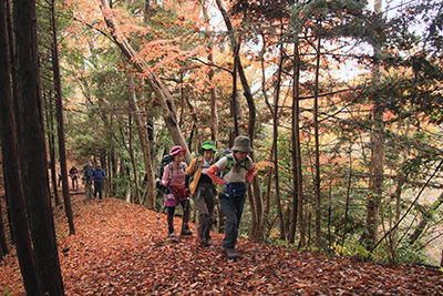 紅葉のきれいな登山道を歩いている写真