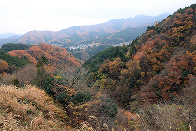 鉄塔付近から見た丹沢方面の写真