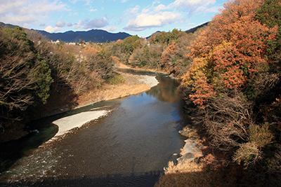 和田橋の上から見た多摩川の流れの写真