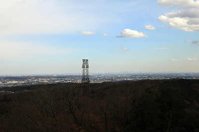 赤ぼっこから見た東京都心方面の写真