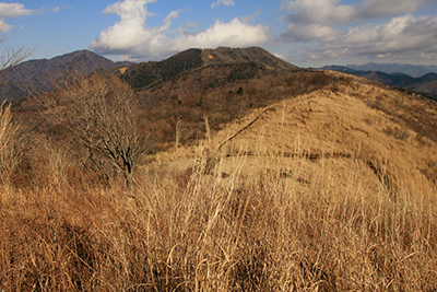 大平山から見た石割山と御正体山の写真