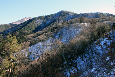 登山道から見たこれから登る倉見山方面の写真