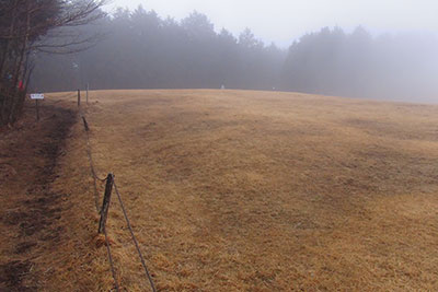 堂平山山頂手前の草原の写真
