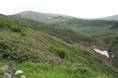 平標山ノ家から見た平標山の写真