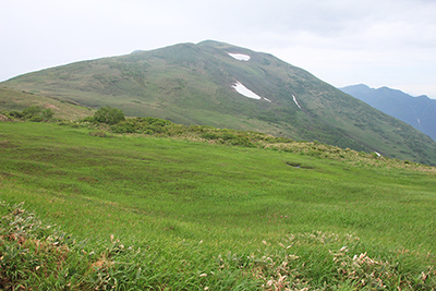 湿原と仙ノ倉山方面の写真