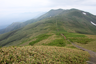 平標山から見た仙ノ倉山の写真