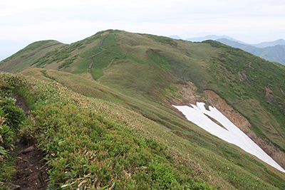 仙ノ倉山山頂の写真