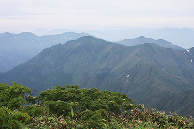 仙ノ倉山山頂から見た万太郎山と谷川岳方面の写真