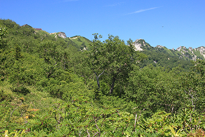 合戦の頭から見た燕岳と燕山荘の写真