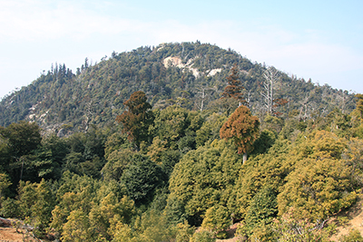 ロープウェお獅子岩駅から見た弥山の写真