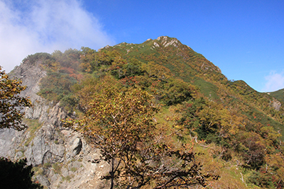 兎岳の写真
