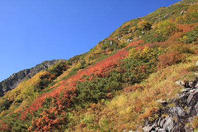 富士見平への下山路から見た紅葉の写真