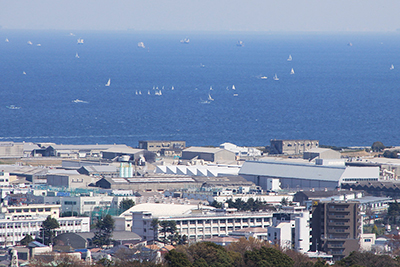 鷹取山からみな湘南の海にたくさん浮かぶヨットの写真