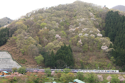 春らしい山腹の下を走る西武線の電車の写真